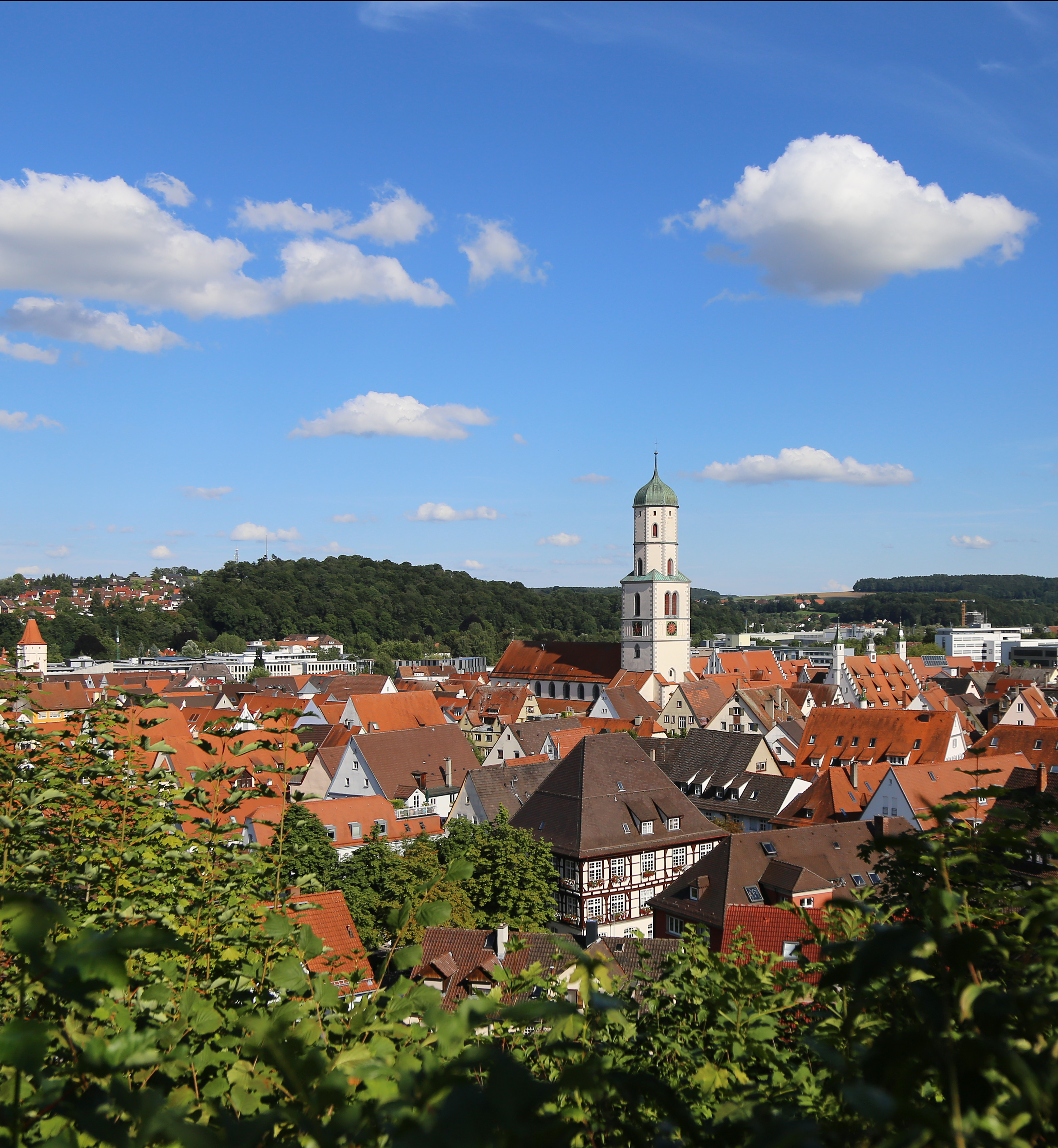 Ansicht Potsdam, Bild: Barbara Plate, LHP